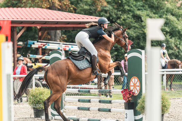 SFT i przyjaciele JUMPING SHOW - ZRiT - WRZESIEŃ 2026 Kozienice