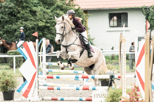 SFT i przyjaciele JUMPING SHOW - ZRiT - WRZESIEŃ 2026 Kozienice