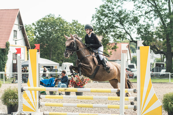 SFT i przyjaciele JUMPING SHOW - ZRiT - WRZESIEŃ 2026 Kozienice