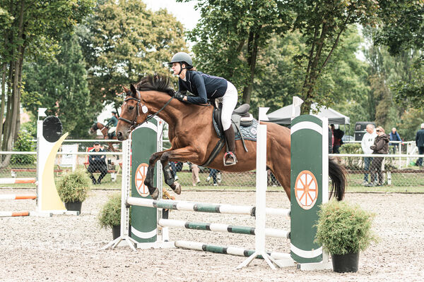 SFT i przyjaciele JUMPING SHOW - ZRiT - WRZESIEŃ 2026 Kozienice