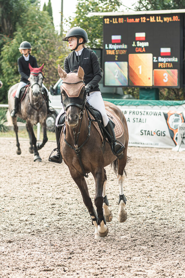 SFT i przyjaciele JUMPING SHOW - ZRiT - WRZESIEŃ 2026 Kozienice