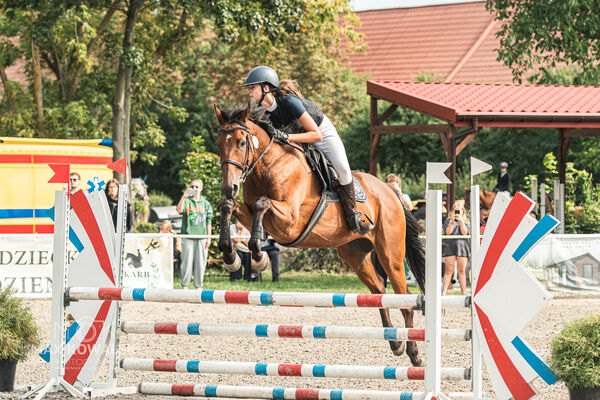 SFT i przyjaciele JUMPING SHOW - ZRiT - WRZESIEŃ 2026 Kozienice