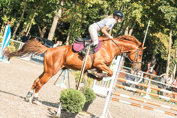 SFT i przyjaciele JUMPING SHOW - ZRiT - WRZESIEŃ 2026 Kozienice