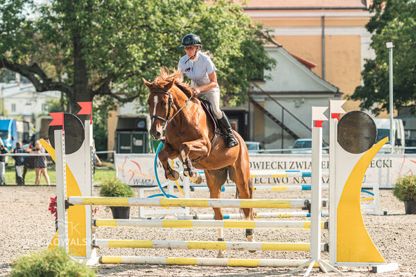 SFT i przyjaciele JUMPING SHOW - ZRiT - WRZESIEŃ 2026 Kozienice