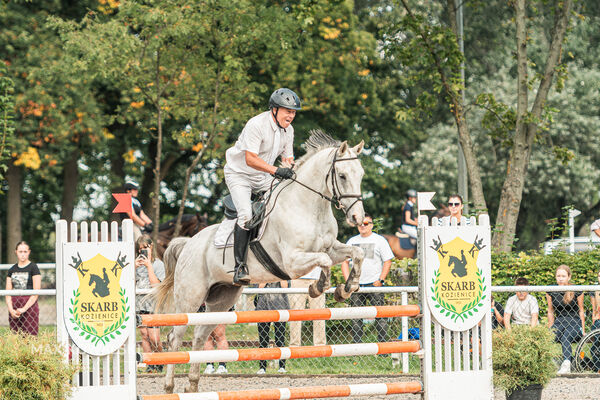 SFT i przyjaciele JUMPING SHOW - ZRiT - WRZESIEŃ 2026 Kozienice