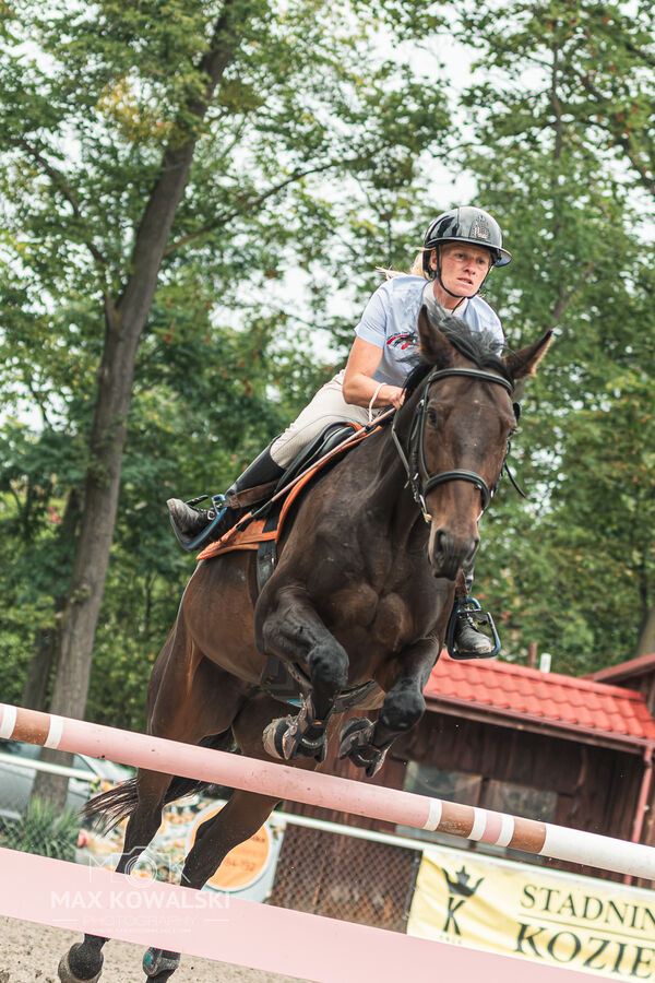 SFT i przyjaciele JUMPING SHOW - ZRiT - WRZESIEŃ 2026 Kozienice