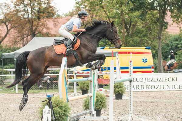 SFT i przyjaciele JUMPING SHOW - ZRiT - WRZESIEŃ 2026 Kozienice