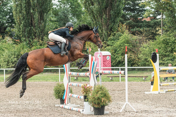 SFT i przyjaciele JUMPING SHOW - ZRiT - WRZESIEŃ 2026 Kozienice