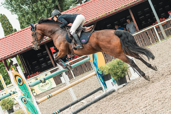 SFT i przyjaciele JUMPING SHOW - ZRiT - WRZESIEŃ 2026 Kozienice