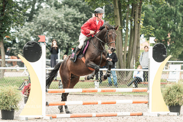 SFT i przyjaciele JUMPING SHOW - ZRiT - WRZESIEŃ 2026 Kozienice