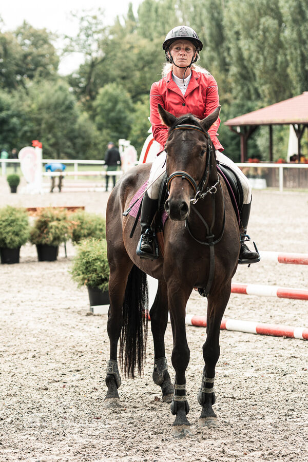 SFT i przyjaciele JUMPING SHOW - ZRiT - WRZESIEŃ 2026 Kozienice