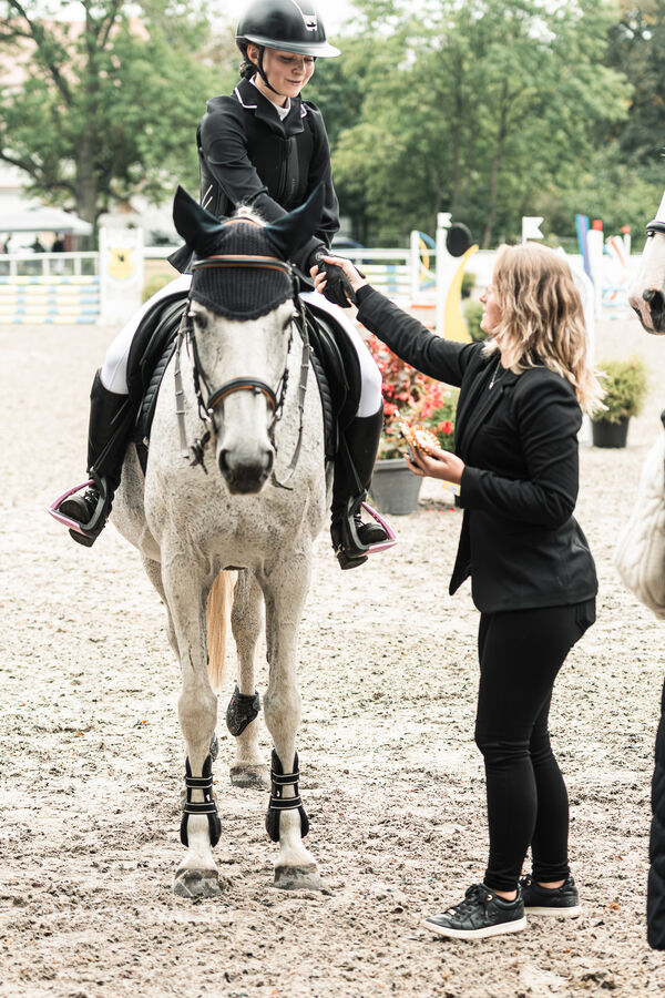 SFT i przyjaciele JUMPING SHOW - ZRiT - WRZESIEŃ 2026 Kozienice
