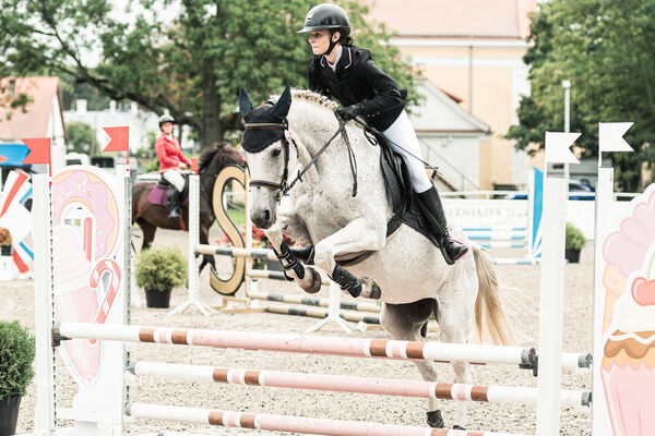 SFT i przyjaciele JUMPING SHOW - ZRiT - WRZESIEŃ 2026 Kozienice