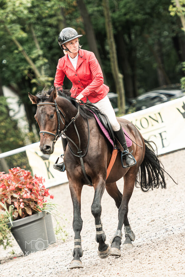 SFT i przyjaciele JUMPING SHOW - ZRiT - WRZESIEŃ 2026 Kozienice