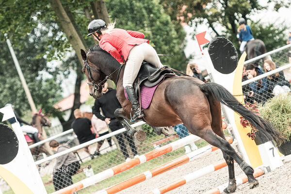 SFT i przyjaciele JUMPING SHOW - ZRiT - WRZESIEŃ 2026 Kozienice