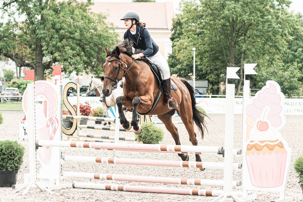 SFT i przyjaciele JUMPING SHOW - ZRiT - WRZESIEŃ 2026 Kozienice