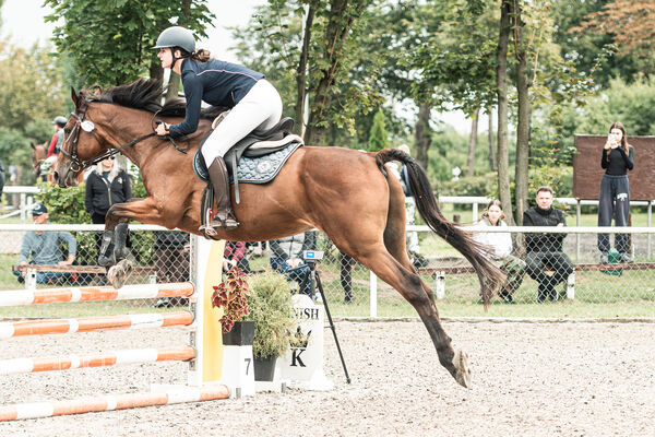 SFT i przyjaciele JUMPING SHOW - ZRiT - WRZESIEŃ 2026 Kozienice