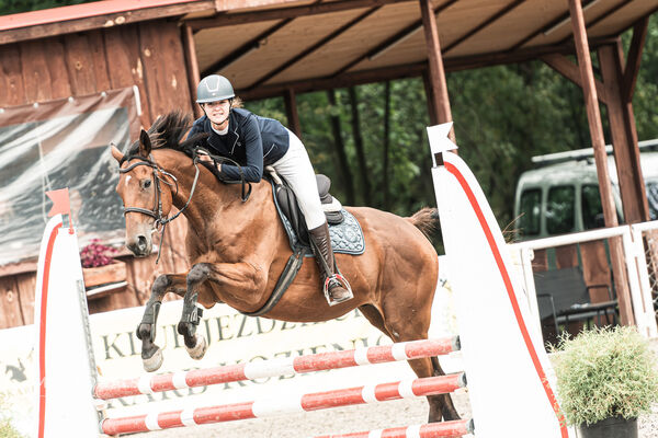 SFT i przyjaciele JUMPING SHOW - ZRiT - WRZESIEŃ 2026 Kozienice