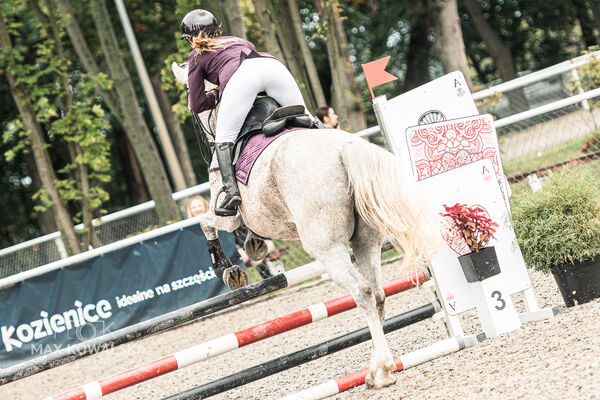 SFT i przyjaciele JUMPING SHOW - ZRiT - WRZESIEŃ 2026 Kozienice