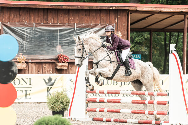 SFT i przyjaciele JUMPING SHOW - ZRiT - WRZESIEŃ 2026 Kozienice