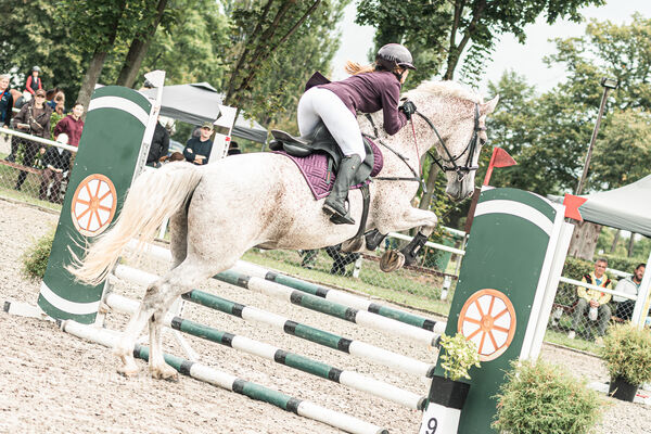 SFT i przyjaciele JUMPING SHOW - ZRiT - WRZESIEŃ 2026 Kozienice