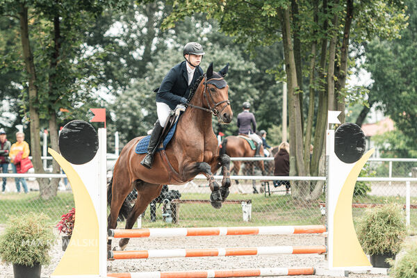 SFT i przyjaciele JUMPING SHOW - ZRiT - WRZESIEŃ 2026 Kozienice