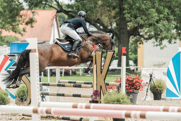 SFT i przyjaciele JUMPING SHOW - ZRiT - WRZESIEŃ 2026 Kozienice