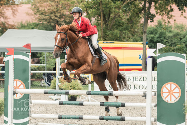 SFT i przyjaciele JUMPING SHOW - ZRiT - WRZESIEŃ 2026 Kozienice