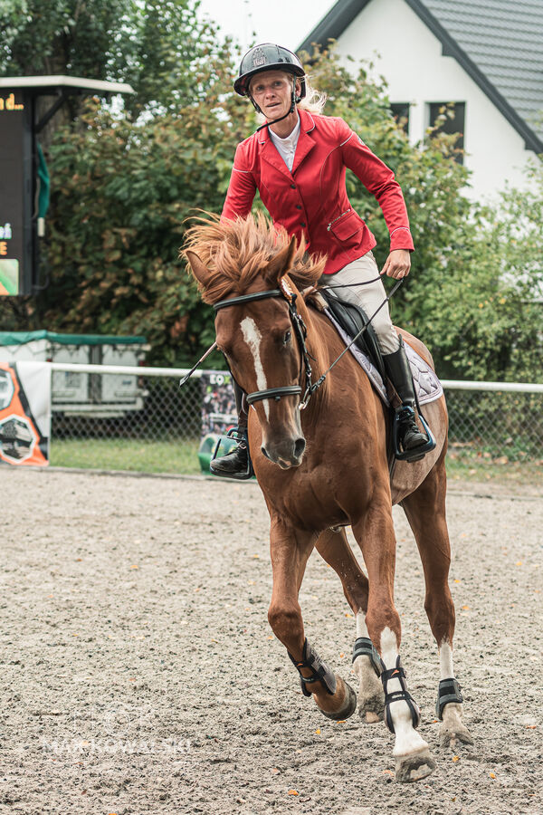 SFT i przyjaciele JUMPING SHOW - ZRiT - WRZESIEŃ 2026 Kozienice