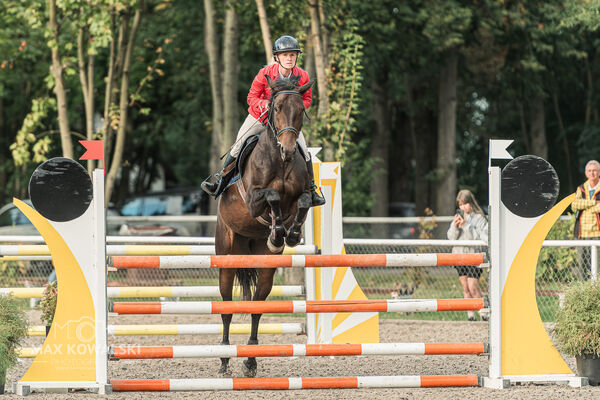 SFT i przyjaciele JUMPING SHOW - ZRiT - WRZESIEŃ 2026 Kozienice
