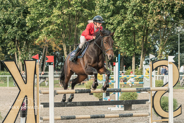 SFT i przyjaciele JUMPING SHOW - ZRiT - WRZESIEŃ 2026 Kozienice